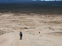 mojave (2).JPG